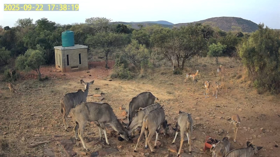 Commercial Property for Sale in Groot Marico Rural North West